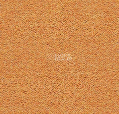 Ковровая плитка Forbo Tessera Chroma 3623 Tangerine фото 1 | FLOORDEALER